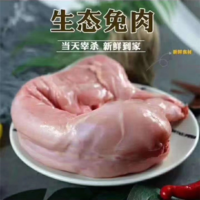 新鲜兔肉