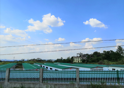养兔基地