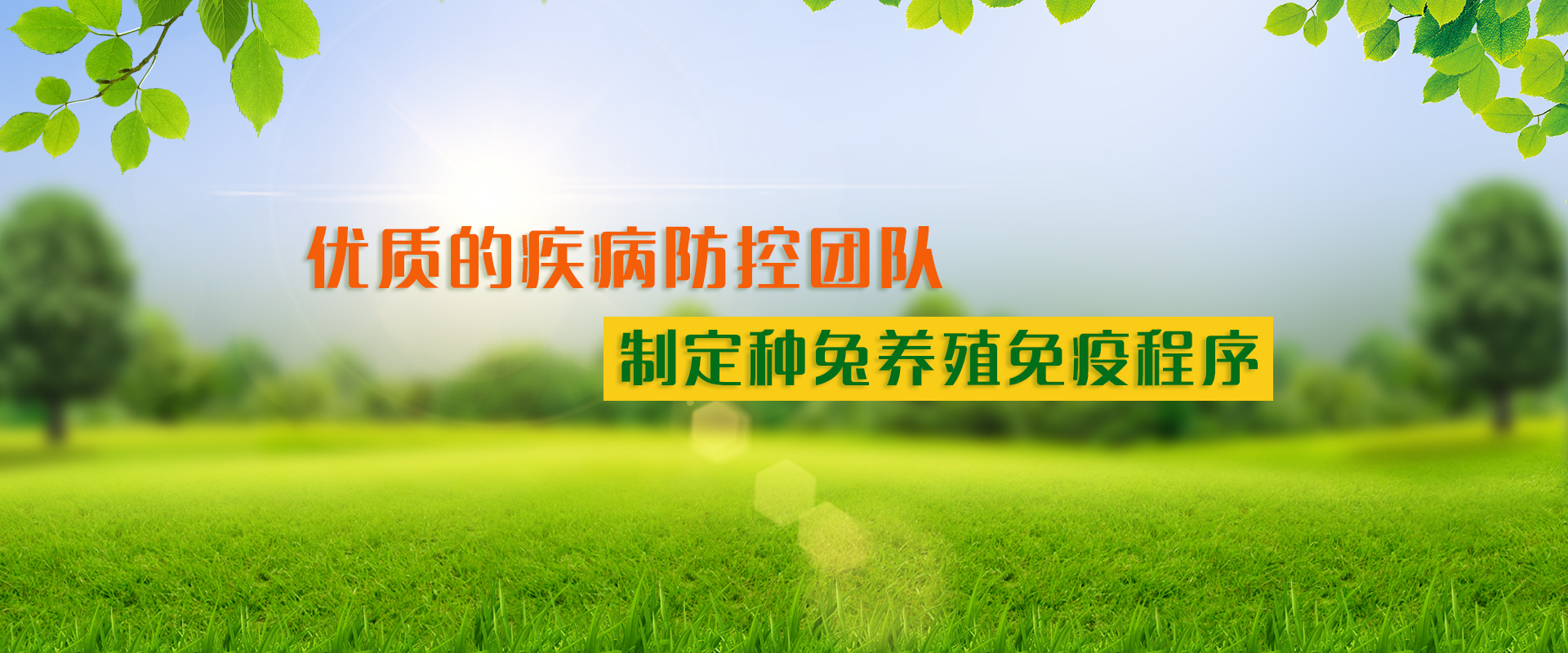 家兔养殖