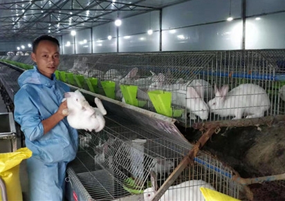 四川兔子养殖的的成本费与盈利测算